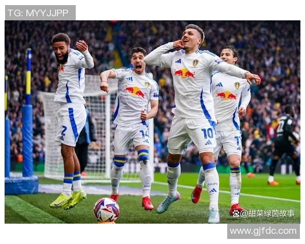 埃弗顿与利兹联首发阵容分析及比赛前瞻解析 埃弗顿与利兹联首发阵容分析及比赛前瞻解析